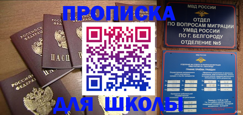 прописка гарантия в Чехове